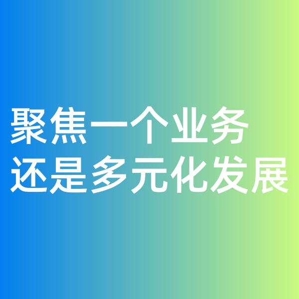 鈀碳回收, 聚焦一個業(yè)務(wù)，還是多元化發(fā)展